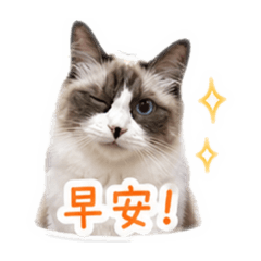 咘咘小貼圖