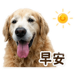 可愛的嚕尼
