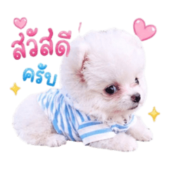 arekaa_20260428143537