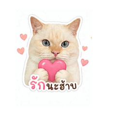 Switty_20260428143553