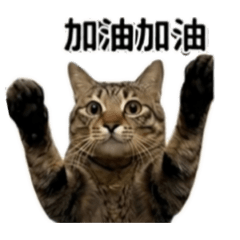 知道的五花八門