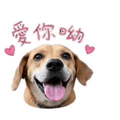小胖可