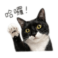 米克斯賓士黑吉