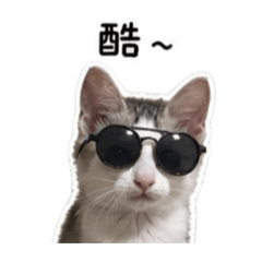 仔仔の