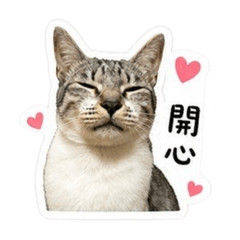 咪霸王