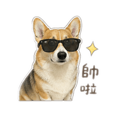 咘咘陪伴你的每一天