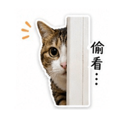 彭小花