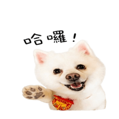 想念的迪
