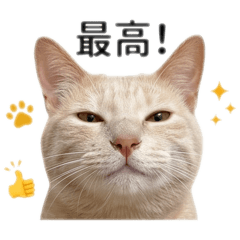 kachan_20260505194555