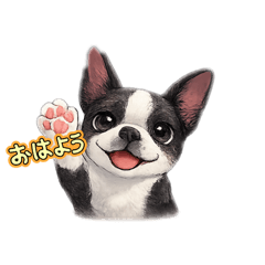 PET SEEYOUAGAIN_20260507134533
