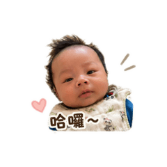 駿日常