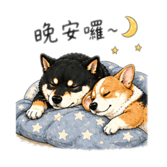 過動柯基與慵懶柴犬的日常