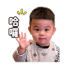 鋌哥日常用語