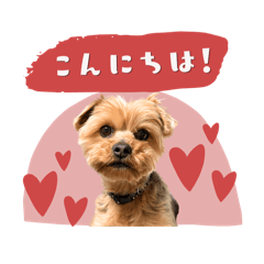Junnosuke_Tom