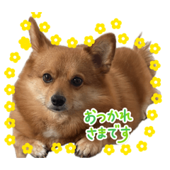 risa_20260505201244