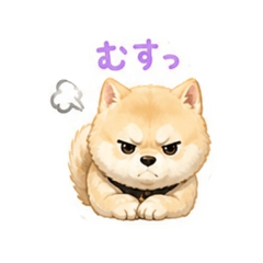 shiromameshiba