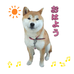 gone_20260505202247