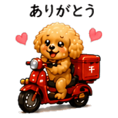 Toy Poodle Vehicle Stickers