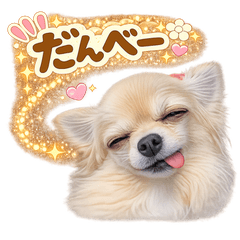 Chihuahua Gunma Dialect Stickers