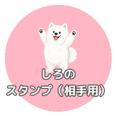 shirostickero