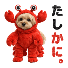 Cute Dog Fuku Daily Life