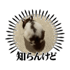 CHASU-BOY_JILL