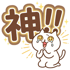 Emotional Explosion! High-Energy Cat