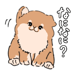 tommy_20260429182719