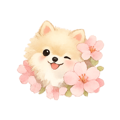 可愛博美犬與櫻花