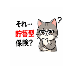 Cat Investor | Daily One-Liner Stickers