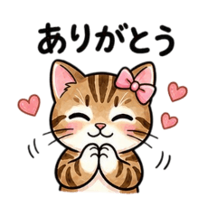 coconeko_20260505095850