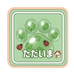 AYU_20260505081518
