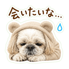 happy7_20260505093821