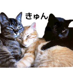 Kocha and his family's friendship stamp