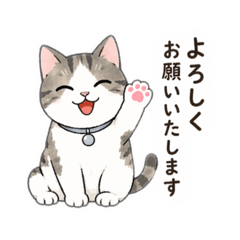 Polite Cat for Daily & Work