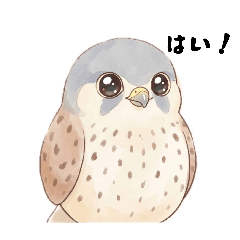 kestrels stamp vol.3