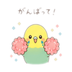 efoumaki_20260505165811