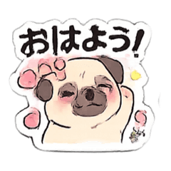 pug 20260505182137