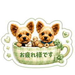 nicolon:_20260505202902