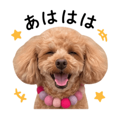 K_20260505203049