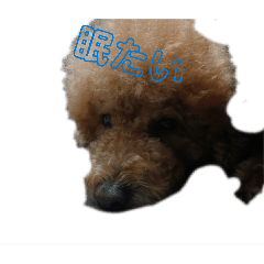 yua_20260505203137