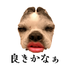 CANTYDX