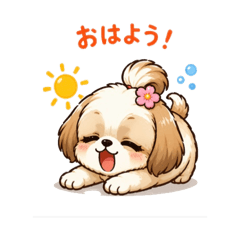 hide_20260505203134