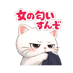 Jealous White Cat Cute Reactions