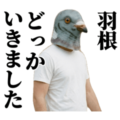 kanako_20260506194947
