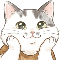 Momo the Chubby Cat2