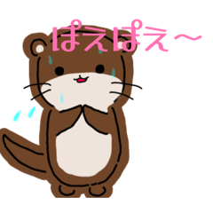 otter_20260505212636