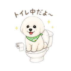 Mina_20260505212725