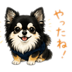 Mr.K_20260505212648