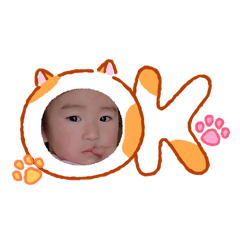 ay_20260505213250